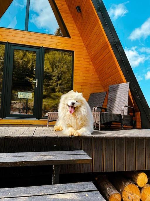 Macko'S Cabin BaileTusnad Eksteriør billede